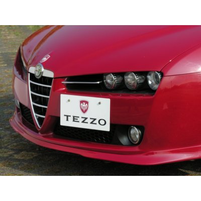 Photo1: TEZZO number plate with TEZZO and marks on it for Alfa Romeo 159