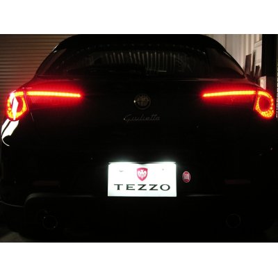 Photo1: TB LED license plate light for PANDA Easy for Alfa Romeo Giulietta